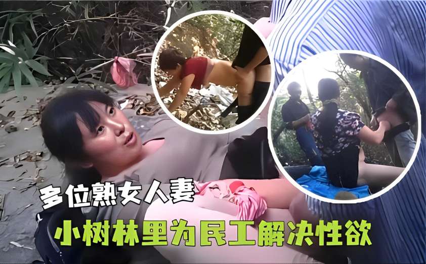 多位熟女人妻小树林里为民工解决性欲 — 2026